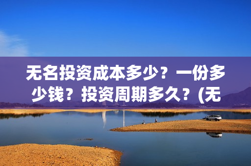 无名投资成本多少？一份多少钱？投资周期多久？(无名创投)