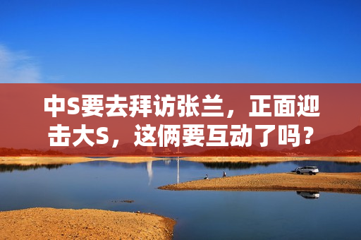 中S要去拜访张兰，正面迎击大S，这俩要互动了吗？