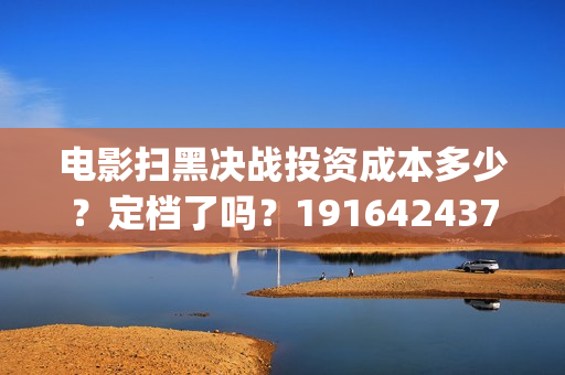 电影扫黑决战投资成本多少？定档了吗？19164243723(扫黑·决战电影)