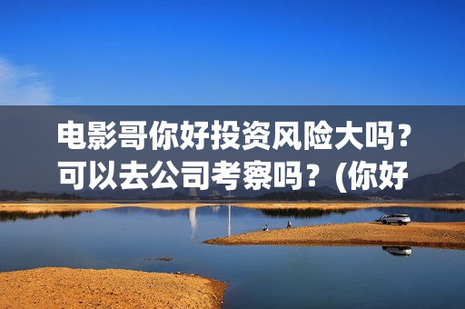 电影哥你好投资风险大吗？可以去公司考察吗？(你好哥哥)
