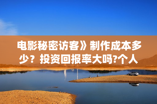 电影秘密访客》制作成本多少？投资回报率大吗?个人投资赚钱吗？(电影秘密访客的内容简介)