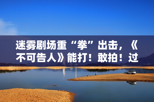 迷雾剧场重“拳”出击，《不可告人》能打！敢拍！过瘾！