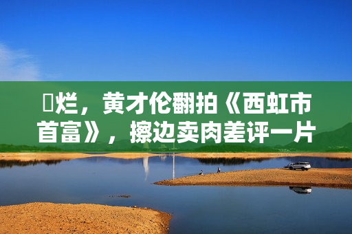 ​烂，黄才伦翻拍《西虹市首富》，擦边卖肉差评一片，票房仅6万