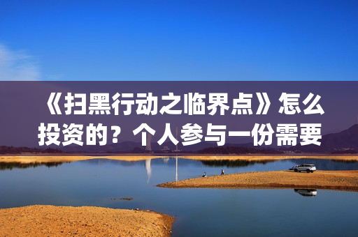 《扫黑行动之临界点》怎么投资的？个人参与一份需要多少成本？定档了吗？(扫黑行动第一集)