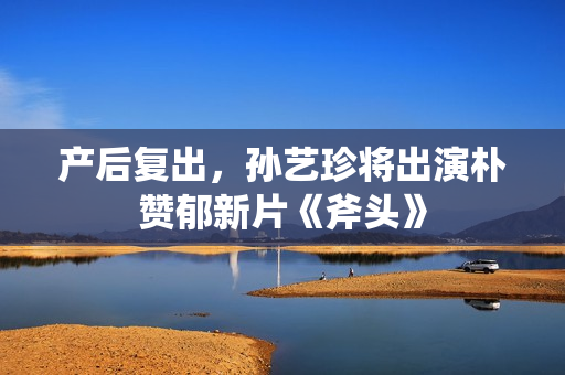 产后复出，孙艺珍将出演朴赞郁新片《斧头》