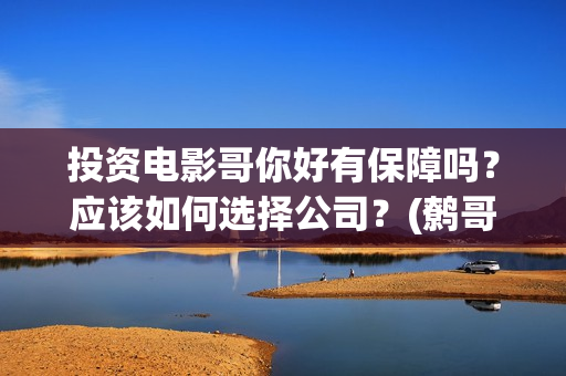 投资电影哥你好有保障吗？应该如何选择公司？(鹩哥你好录音教材)