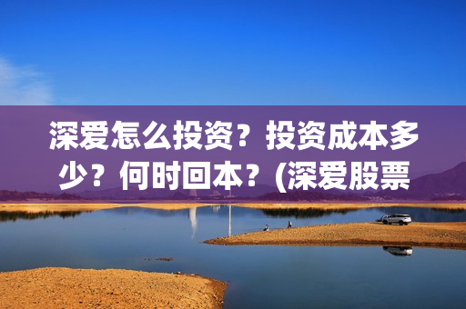 深爱怎么投资？投资成本多少？何时回本？(深爱股票833378)