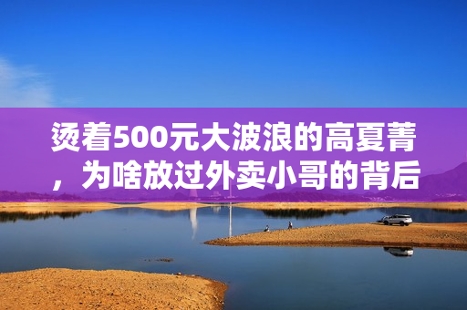 烫着500元大波浪的高夏菁，为啥放过外卖小哥的背后全是算计？