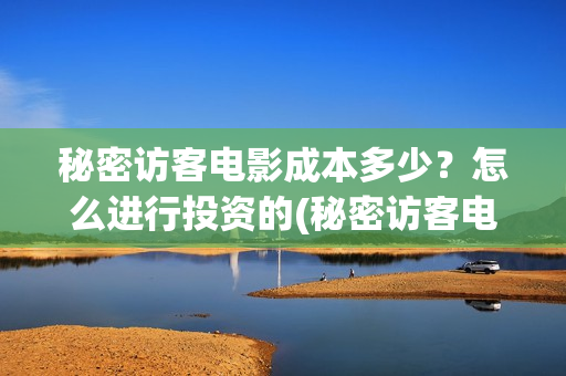 秘密访客电影成本多少？怎么进行投资的(秘密访客电影内容)