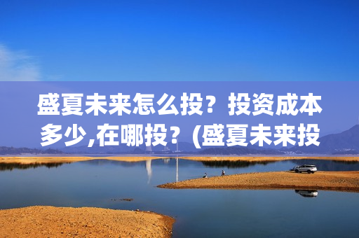 盛夏未来怎么投？投资成本多少,在哪投？(盛夏未来投屏)