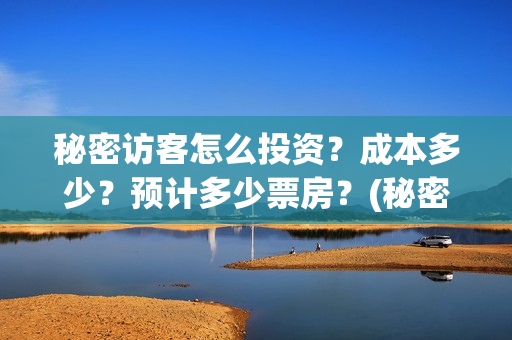 秘密访客怎么投资？成本多少？预计多少票房？(秘密访客害怕么)