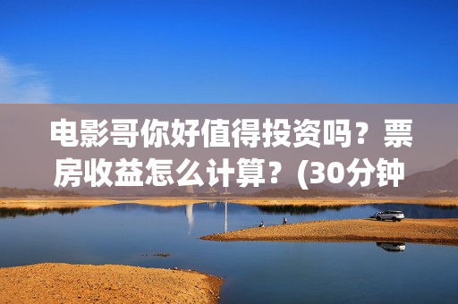 电影哥你好值得投资吗？票房收益怎么计算？(30分钟鹩哥你好mp3)