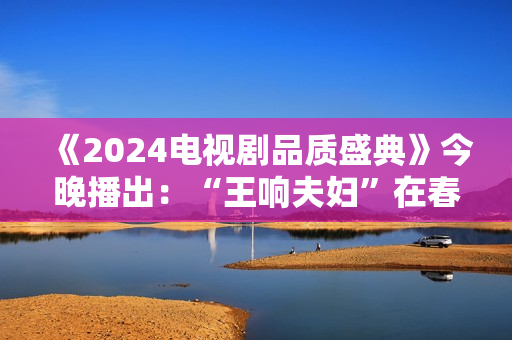 《2024电视剧品质盛典》今晚播出：“王响夫妇”在春天“团圆”，《繁花》亮眼摘多项硕果