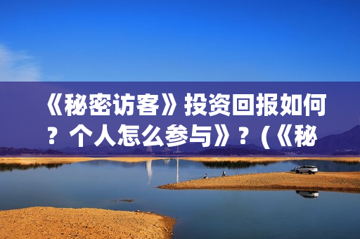《秘密访客》投资回报如何？个人怎么参与》？(《秘密访客》剧情)