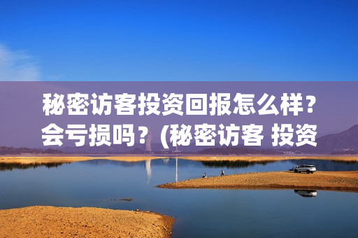 秘密访客投资回报怎么样？会亏损吗？(秘密访客 投资方)