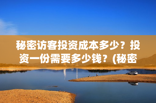 秘密访客投资成本多少？投资一份需要多少钱？(秘密访客投资门槛高吗?)