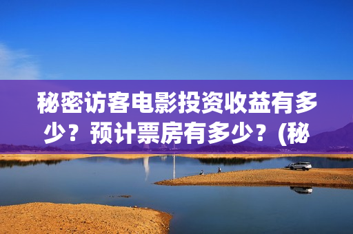 秘密访客电影投资收益有多少？预计票房有多少？(秘密访客1080p)