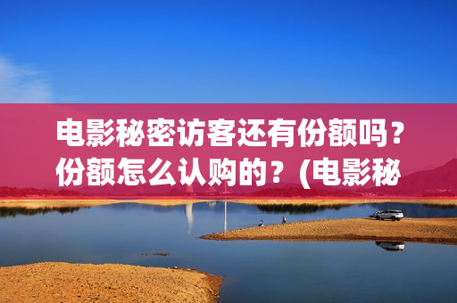 电影秘密访客还有份额吗？份额怎么认购的？(电影秘密访客有彩蛋)