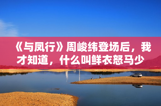 《与凤行》周峻纬登场后，我才知道，什么叫鲜衣怒马少年郎