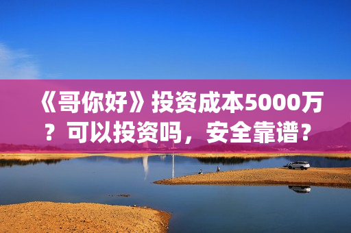 《哥你好》投资成本5000万？可以投资吗，安全靠谱？(《哥你好》投资多少钱)