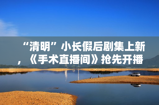 “清明”小长假后剧集上新，《手术直播间》抢先开播