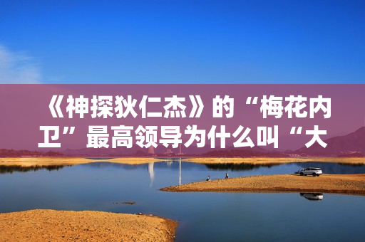 《神探狄仁杰》的“梅花内卫”最高领导为什么叫“大阁领”？
