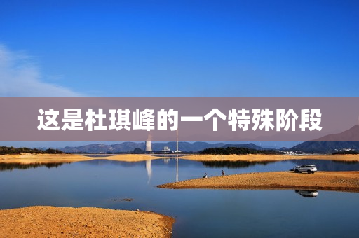 这是杜琪峰的一个特殊阶段