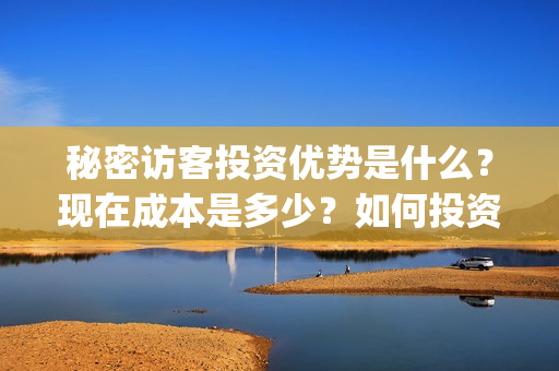 秘密访客投资优势是什么？现在成本是多少？如何投资？(秘密访客成本)