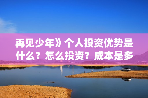 再见少年》个人投资优势是什么？怎么投资？成本是多少？(再见少年简介)