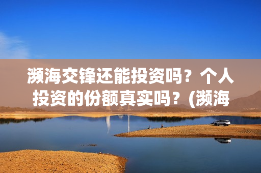 濒海交锋还能投资吗？个人投资的份额真实吗？(濒海交锋投资方)