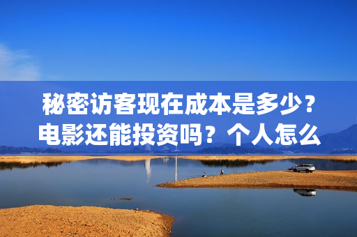 秘密访客现在成本是多少？电影还能投资吗？个人怎么参与？(秘密访客好吓人)