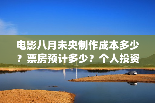 电影八月未央制作成本多少？票房预计多少？个人投资份额真实吗？(电影八月未央制片人是谁)