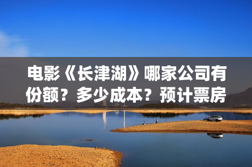 电影《长津湖》哪家公司有份额？多少成本？预计票房多少？(电影《长津湖》观后感400字)