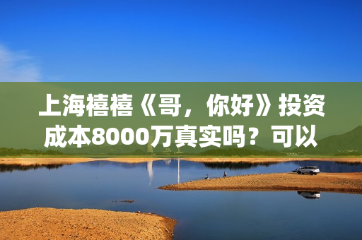 上海禧禧《哥，你好》投资成本8000万真实吗？可以投资？(禧哥是做什么行业的)