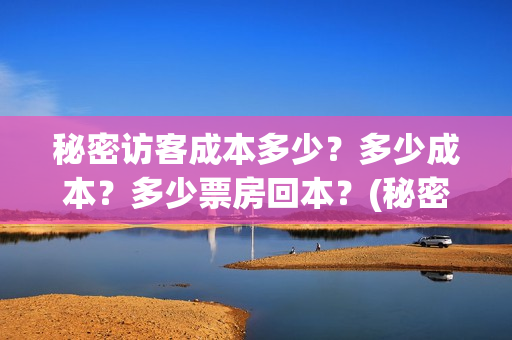 秘密访客成本多少？多少成本？多少票房回本？(秘密访客访客是谁)