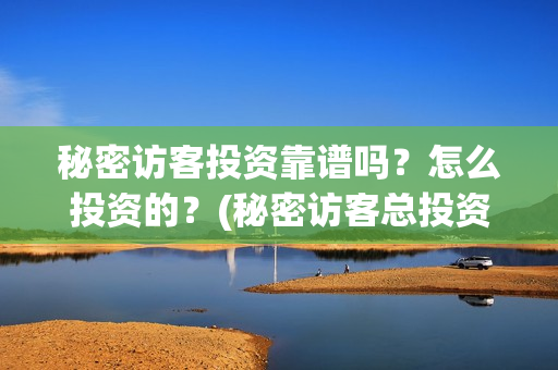 秘密访客投资靠谱吗？怎么投资的？(秘密访客总投资)
