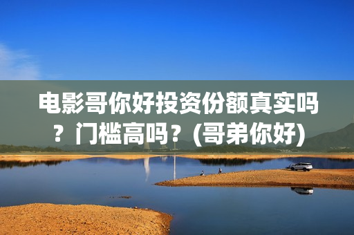 电影哥你好投资份额真实吗？门槛高吗？(哥弟你好)