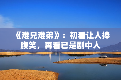 《难兄难弟》：初看让人捧腹笑，再看已是剧中人