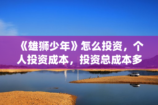 《雄狮少年》怎么投资，个人投资成本，投资总成本多少？(雄狮少年预告)