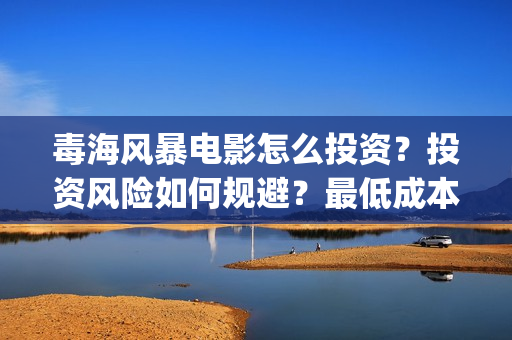 毒海风暴电影怎么投资？投资风险如何规避？最低成本多少？(毒海风暴上映时间)