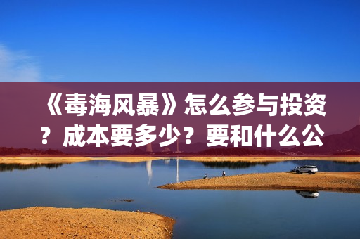 《毒海风暴》怎么参与投资？成本要多少？要和什么公司签？(毒海风暴成本)