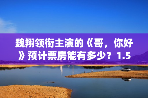 魏翔领衔主演的《哥，你好》预计票房能有多少？1.5亿成本值得投资吗(魏翔演的电影电视剧)