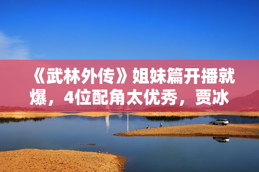 《武林外传》姐妹篇开播就爆，4位配角太优秀，贾冰也被抢了风头