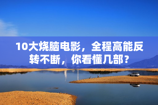 10大烧脑电影，全程高能反转不断，你看懂几部？