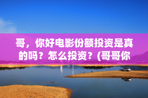 哥，你好电影份额投资是真的吗？怎么投资？(哥哥你好牛)