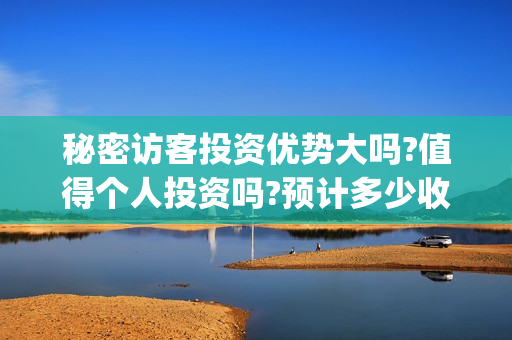 秘密访客投资优势大吗?值得个人投资吗?预计多少收益?(秘密访客买票)