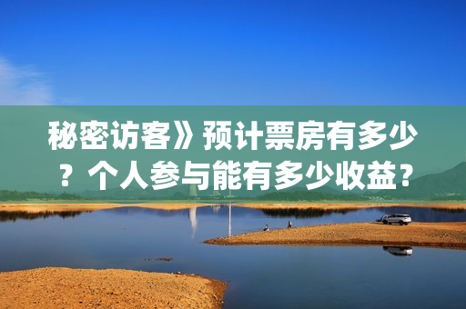 秘密访客》预计票房有多少？个人参与能有多少收益？(秘密访客详细剧情)