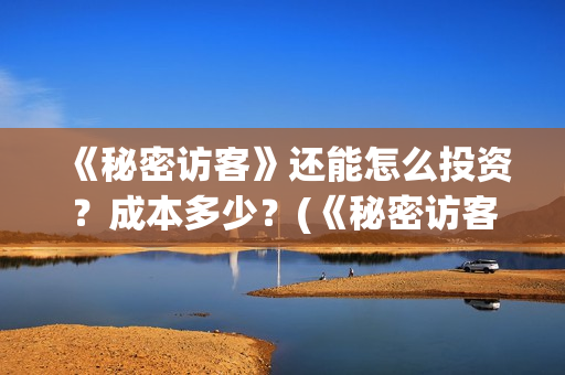《秘密访客》还能怎么投资？成本多少？(《秘密访客》看不懂)