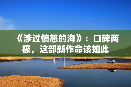 《涉过愤怒的海》：口碑两极，这部新作命该如此