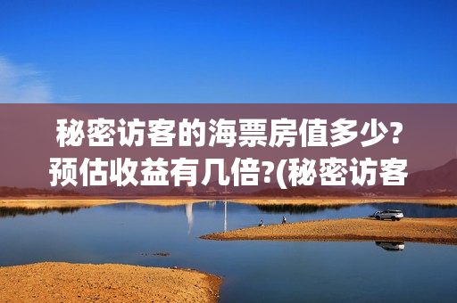 秘密访客的海票房值多少?预估收益有几倍?(秘密访客买票)